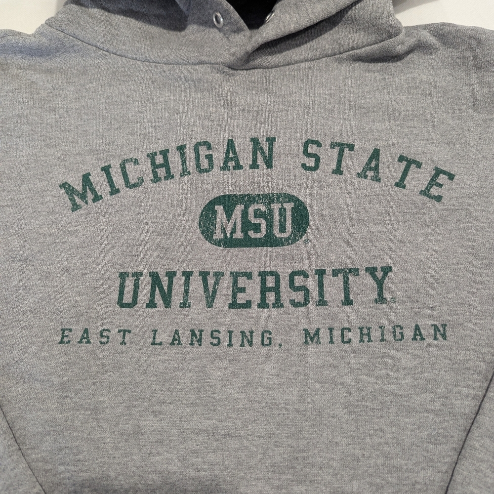 Vintage Michigan State University Arch Logo Hoodie - Picture 2 of 8
